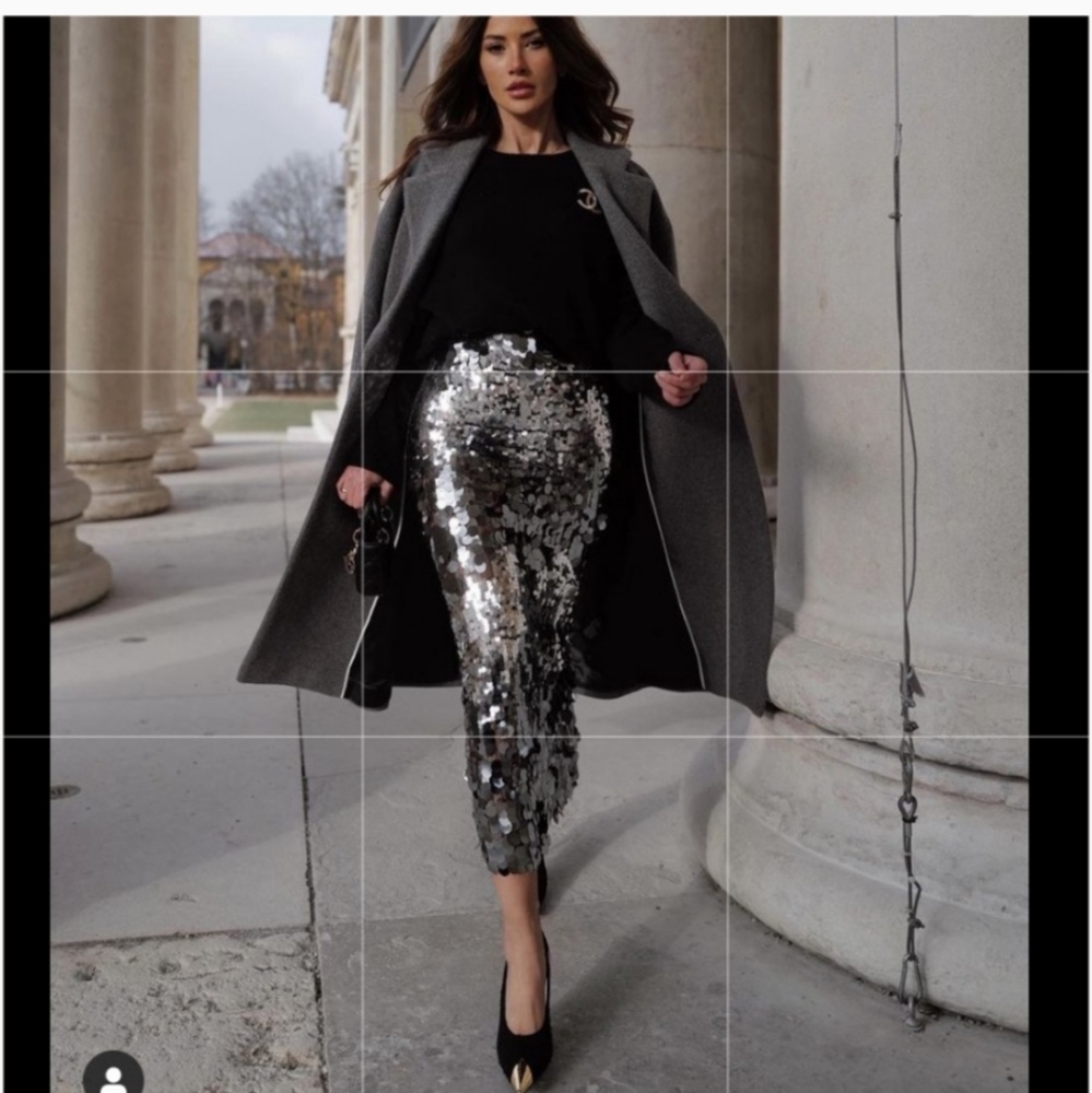 GORGEOUS ZARA NWT Sequin Skirt